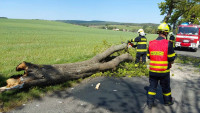 hasiči strom GMgsgkAXYAAc5Ms